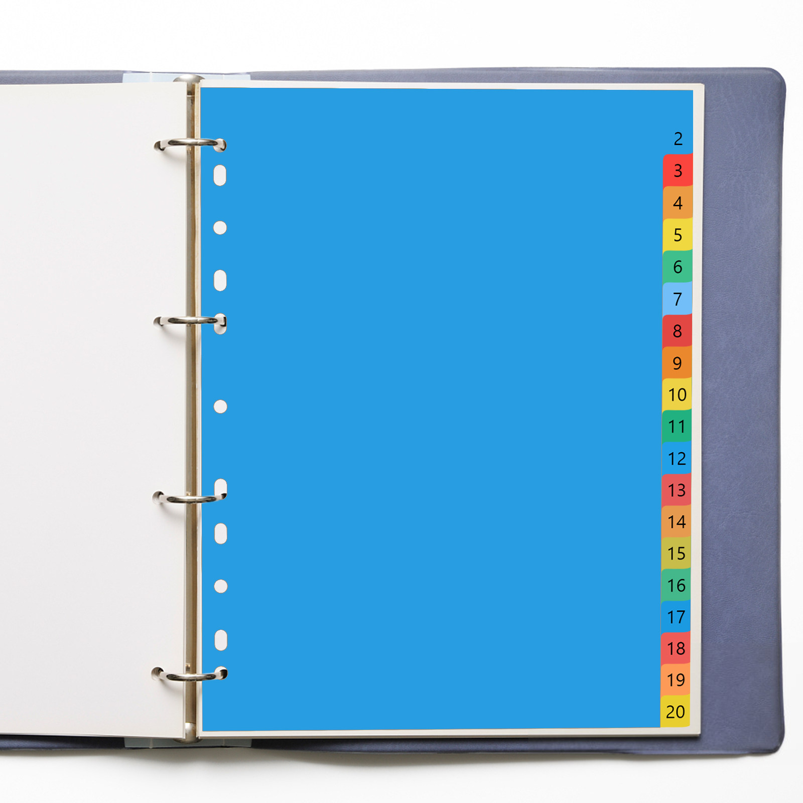 20 Pages A4 Colorful Plastic T - Tab Divider A4 ulasan dan harga